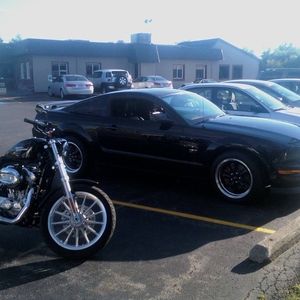 Meet your Posher, Gregg